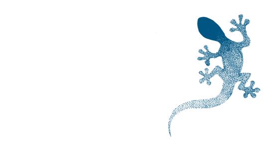 Blue Lizard Sensitive Mineral Sunscreen Spf 50 Reviews: What To Expect (pros & Cons)