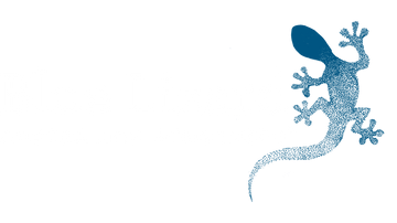 Blue Lizard